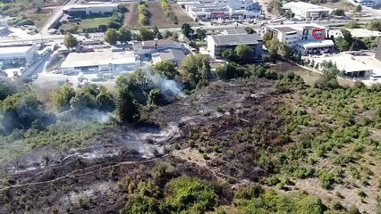 Ormana yakın bölgede korkutan anız yangını