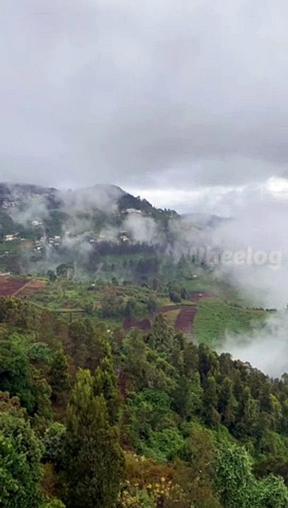 Vilpatti view