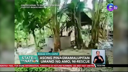 Asong pinagmamalupitan umano ng amo, ni-rescue | SONA
