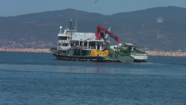 BALIKESİR - Denizdeki fırtınanın ardından balık bollaşınca fiyatlar düştü