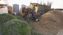 العربية ترصد معاناة ملايين المتضررين من الفيضانات في باكستان