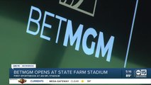 Arizona Cardinals open on-site sportsbook