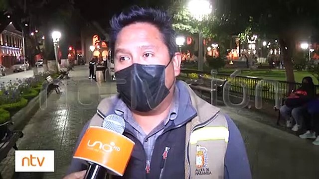 Fumigaron plantas de la plaza principal que fueron afectadas por plagas