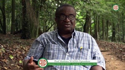 Le dur quotidien des fumeuses de Poisson