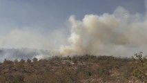 Son dakika haberi: Akdeniz ilçesindeki orman yangını kontrol altına alındı