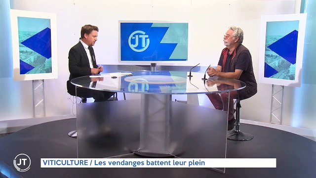 VENDANGES / Malgré la sécheresse, un millésime 2022 prometteur