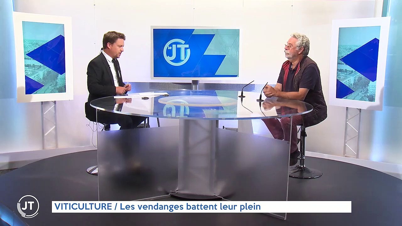 VENDANGES / Malgré la sécheresse, un millésime 2022 prometteur