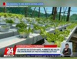 22-anyos na estudyante, kumikita ng halos P50,000/buwan sa pagtatanim ng lettuce | 24 Oras