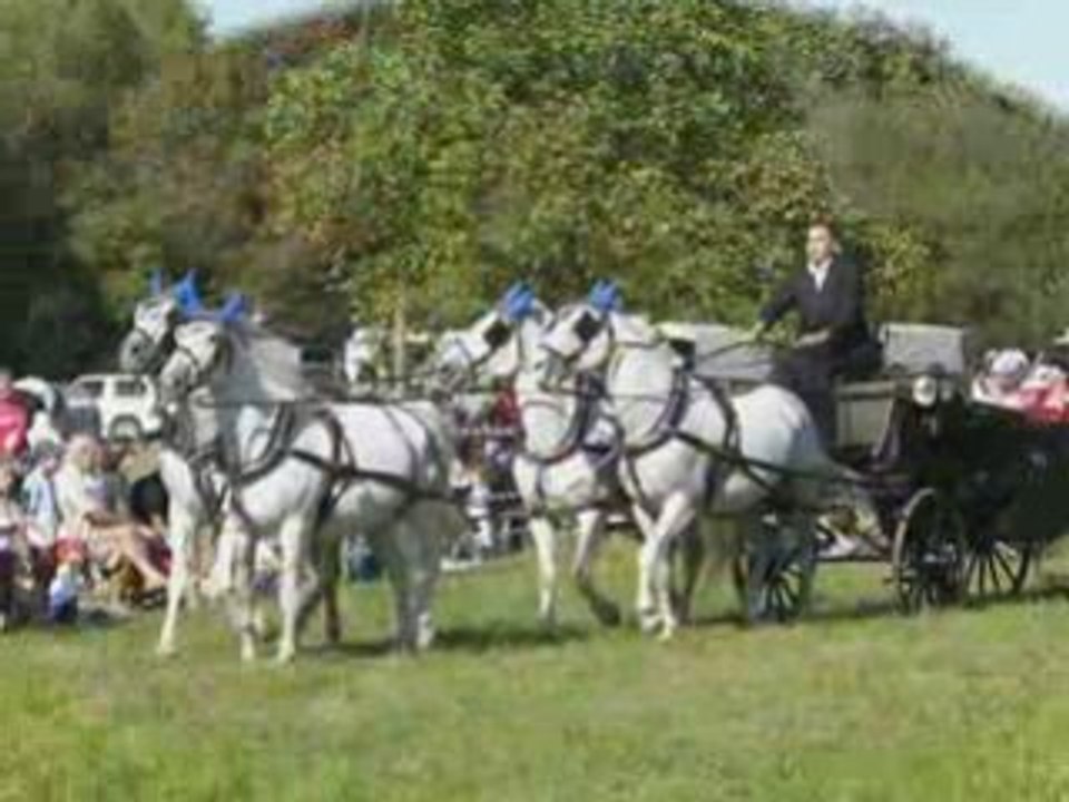 Fête du cheval Mackenheim 2007