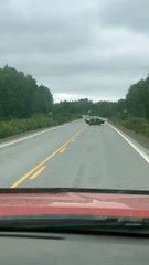 Conduite de voiture sur route avec kayak sur le siège arrière - Buzz Buddy