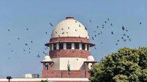 SC agrees to hear pleas against Places of Worship Act on October 11