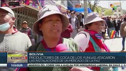 Productores de coca en Bolivia atacaron instalaciones de un mercado paralelo por considerarse perjudicados