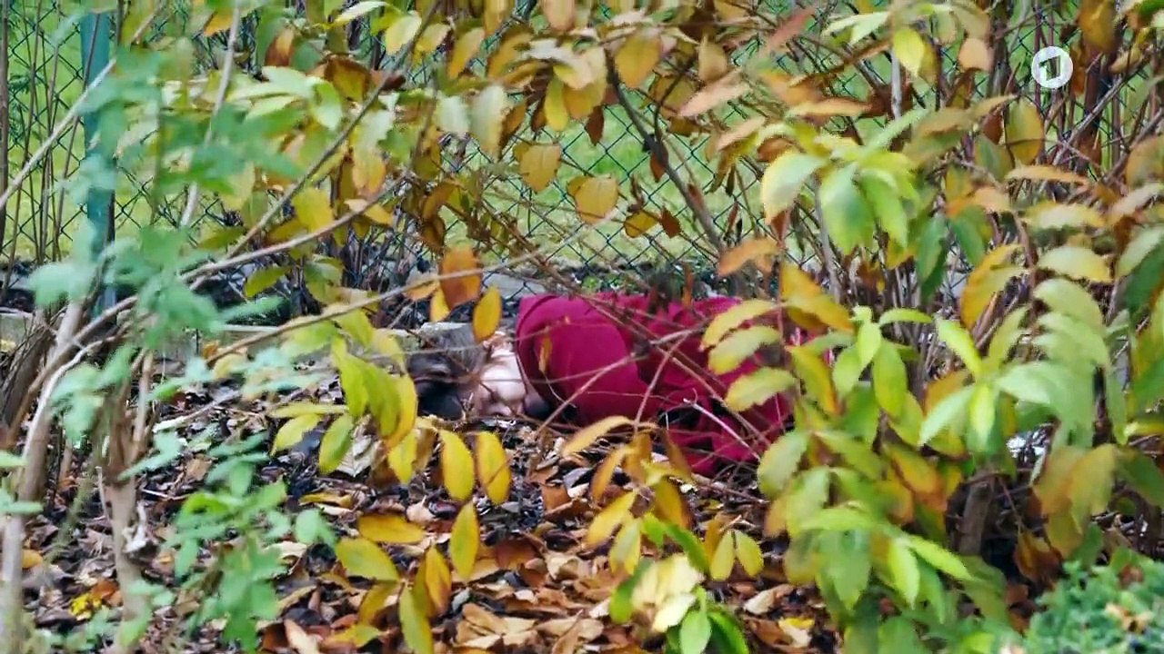 Die Heiland- Wir sind Anwalt Staffel 3 Folge 2