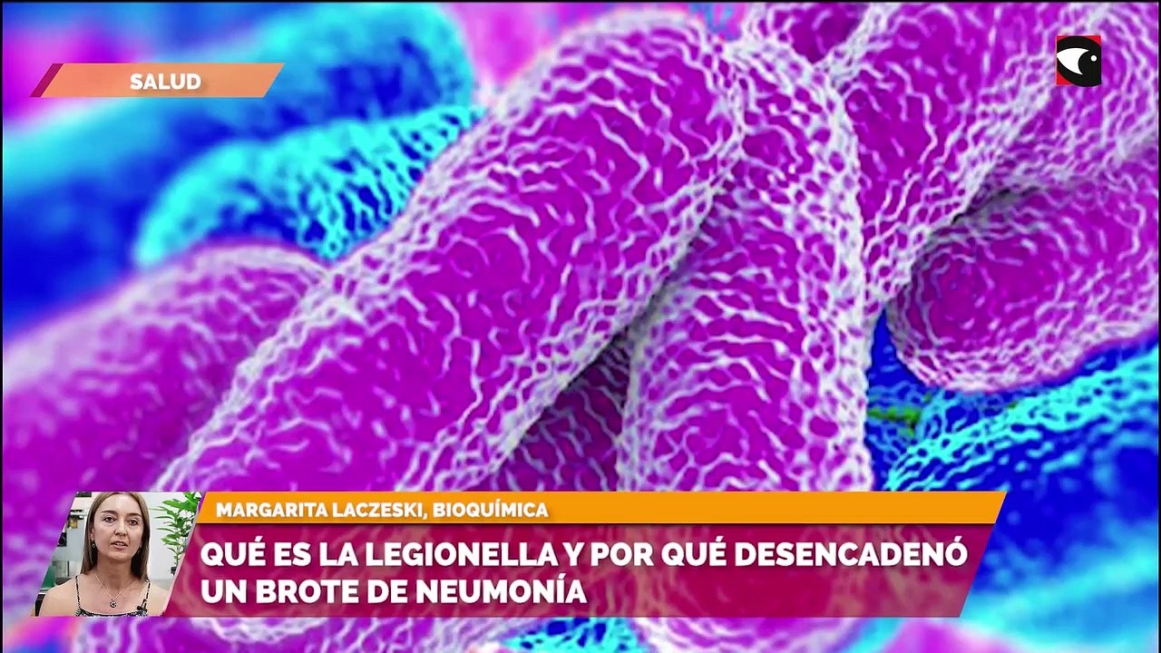 ¿Qué es la Legionella y por qué desencadenó un brote de neumonía?