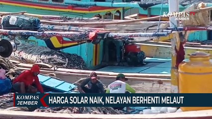 Harga Solar Naik, Nelayan Di Probolinggo Berhenti Melaut