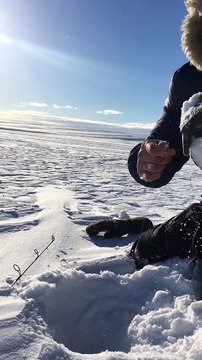 A Big Fish is Pulled from the Ice