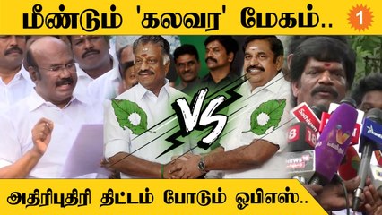 ADMK Issue | அதிமுக தலைமை கழகம் தொடர்பாக மீண்டும் பிரச்னை