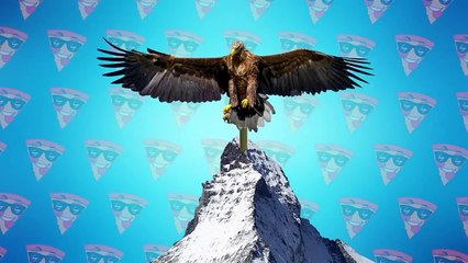 Craziest Eagle Attacks of All Time 2022