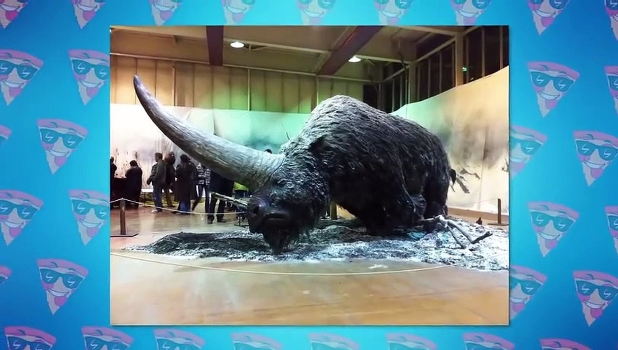 11 Extinct Animals Scientists Are Ready To Bring Back