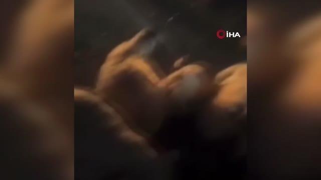 Otomobil koyun sürüsüne daldı: 20 koyun telef oldu