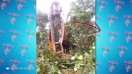 Scary Giant Snake Encounters That Will Horrify You