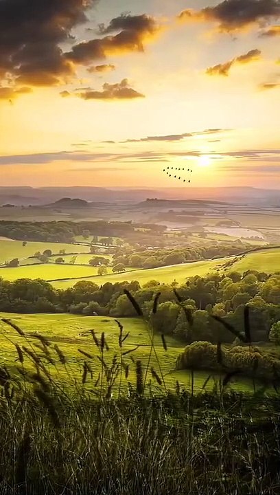 _nature _loveislove _loveview _lovestory _lovegoals _lovequotes _lovesongs _sad _sadsongs _sadvideos _sadvideos _reelkarofeelkaro _reelsinstagram _reelsviral _reelitfeelit _reels _reel _naturephotosshot _feelnature _support _explore _reelsvi(