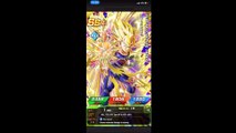 DBZ Dokkan Battle SSJ2 Goku & SSJ2 Vegeta Dual Dokkan Festival