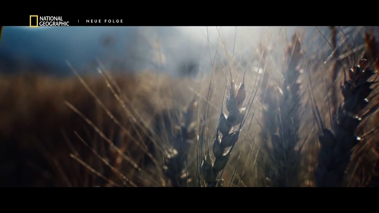 Wikinger Aufstieg und Untergang Staffel 1 Folge 2 HD Deutsch