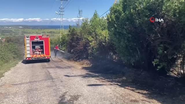 Sinop haberleri! Sinop'ta çıkan orman yangını söndürüldü