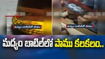 మద్యం బాటిల్‌లో పాము కలకలం.. || Guntur district || ABN Telugu