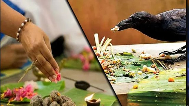 Pitru Paksha 2022: पितृ पक्ष में इस दिन नहीं होगा श्राद्ध | Shradh Kaun se din Nahi Hoga *Religious