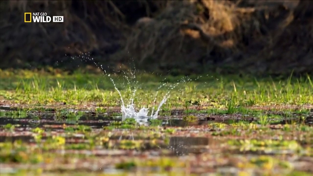 Afrikas Jäger Staffel 1 Folge 2 HD Deutsch