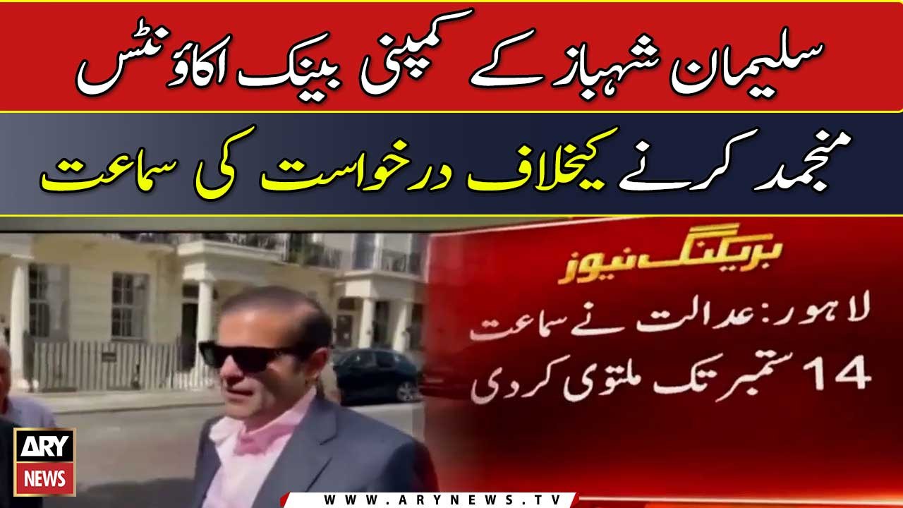 سلیمان شہباز کے کمپنی بینک اکاؤنٹس منجمد کرنے کیخلاف درخواست کی سماعت 14 ستمبر تک ملتوی