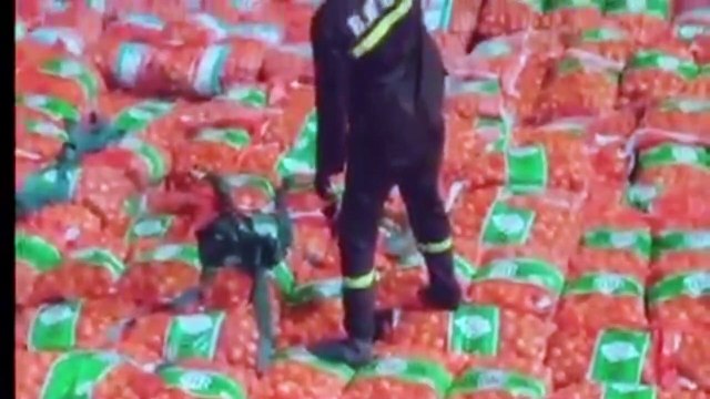 Approvisionnement en oignons: 5000 tonnes convoyées à Touba