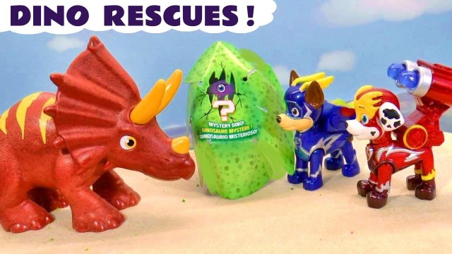 Paw Patrol Dino Rescue MYSTERY Toy Stories with Dinosaur Toys Cartoon for Kids and Children