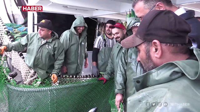 Balıkçıların ağları palamutla şenlendi