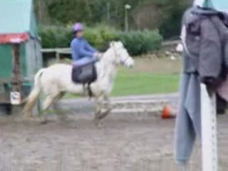 Le VRAI Tino (pas l'andouille) en cheval de Greluche!