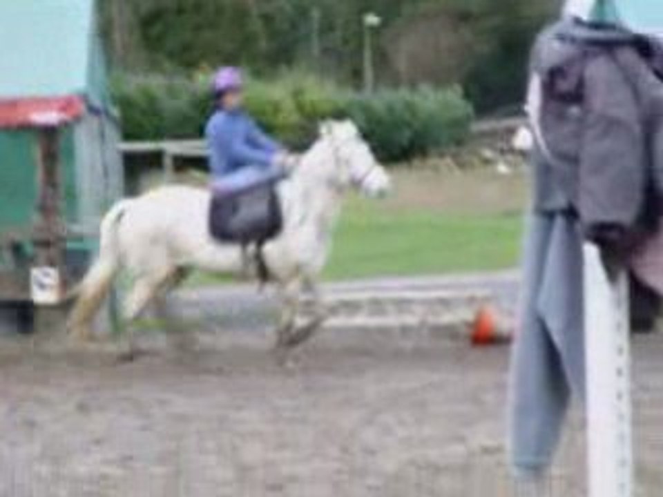 Le VRAI Tino (pas l'andouille) en cheval de Greluche!