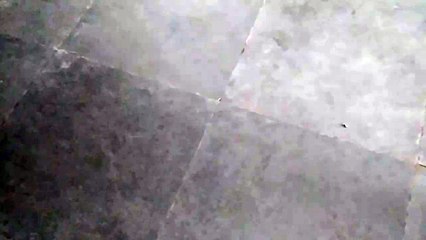 SriGanganagar घर-घर बीमार वायरल का बुखार