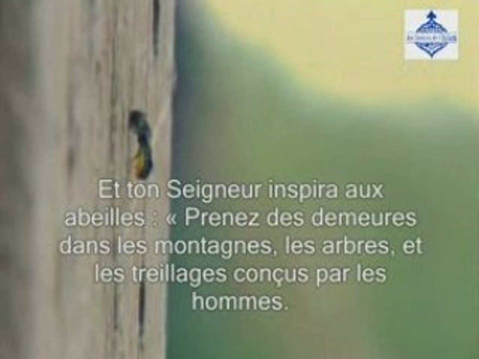 Partie3