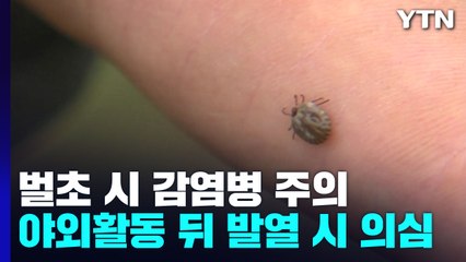 "벌초·추수할 때 진드기·쥐 매개 감염병 조심하세요" / YTN