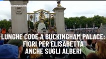 Lunghe code a Buckingham Palace: fiori per Elisabetta anche sugli alberi