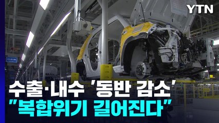수출·내수 '동반 감소'..."복합위기 길어진다" / YTN