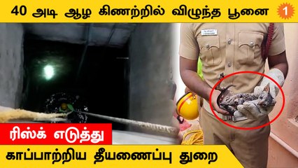கிணற்றில் விழுந்த பூனையை காப்பாற்றிய தீயணைப்பு துறை