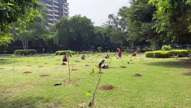 सेंट्रल पार्क: जन सहयोग से बढ़ा रहे हरियाली, लोग भी जुड़ रहे...लगाए 1000 पौधे