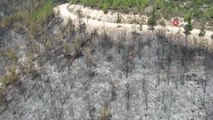 Muğla 3. sayfa haberi | Denizli - Muğla sınırında çıkan yangında yaklaşık 100 hektar alan küle döndü