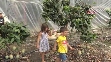 ANTALYA'DA MANGO HASADI IVANA SERT İLE TANITILDI