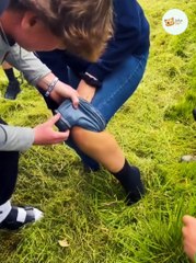 Funny Animals - Best Of The 2022 Funny Cats And Dogs Reaction Videos #14