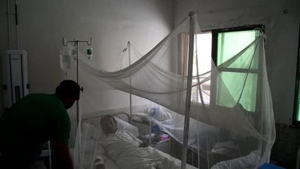 Pakistan'ın Karaçi şehrinde son 6 haftada en az 30 kişi dang hummasından öldü