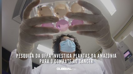 Pesquisa da UFPA investiga plantas da Amazônia para o combate ao câncer